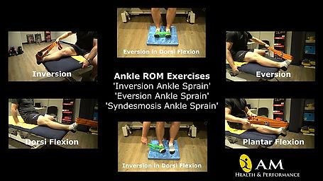 Ankle ROM Exercises Multi-View